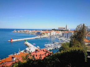 Piran Punta Kim Apartment